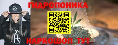 молекула духа Краснознаменск